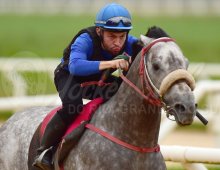 09.07 Corridas &raquo; 09.07 Corridas &raquo; matinal sabado 1506